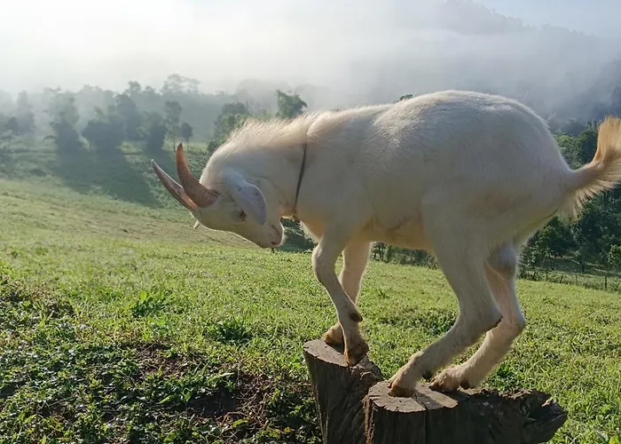 ไร่นิธิสุนทร Nithisoonthon Farmstay