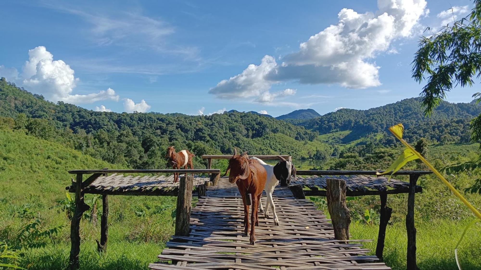Farm stay ไร่นิธิสุนทร Nithisoonthon *