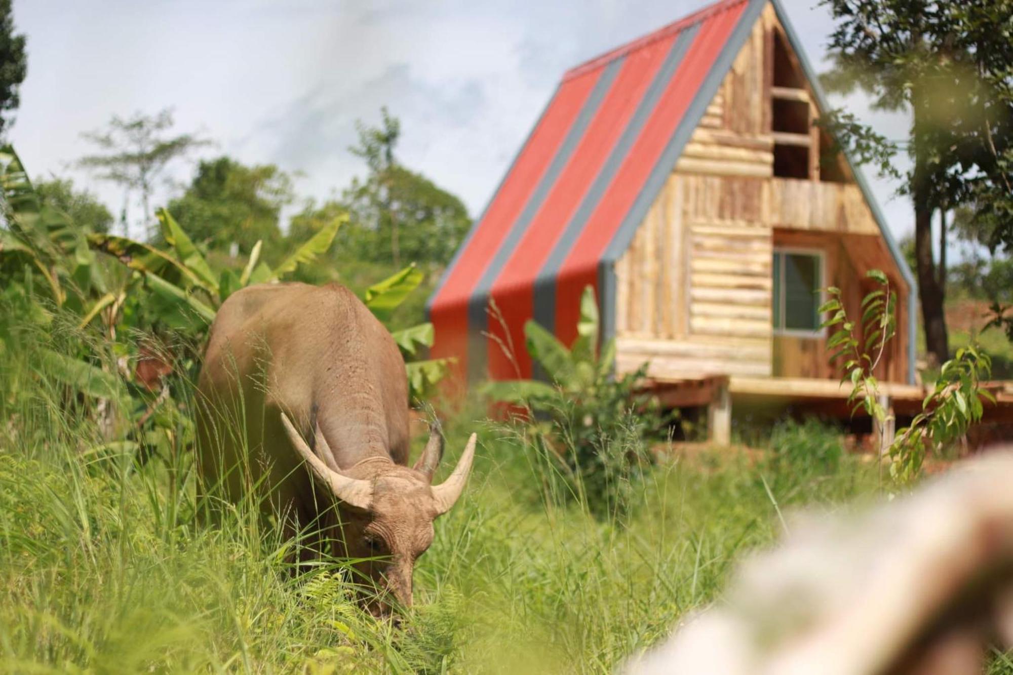 Farm stay ไร่นิธิสุนทร Nithisoonthon Mae Hong Son